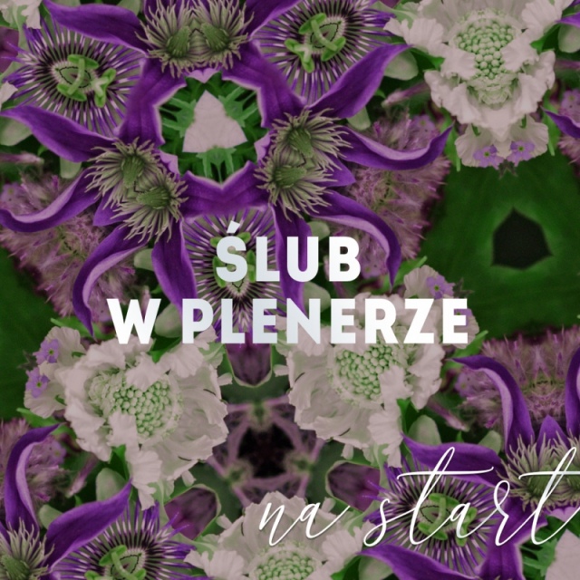 ŚLUB W PLENERZE
