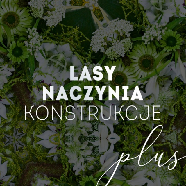 LASY | NACZYNIA | KONSTRUKCJE