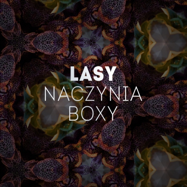 LASY | NACZYNIA | BOXY